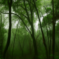 Dense misty forest trail of Andharban Trek in Maharashtra during monsoon season
