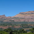 Nimgiri Fort in Junnar, Maharashtra with clear blue sky and layered rocky cliffs surrounded by green forest.