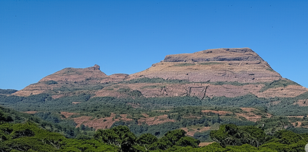 Nimgiri Fort in Junnar, Maharashtra with clear blue sky and layered rocky cliffs surrounded by green forest.