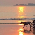 Sunset at Alibag Beach with Kulaba Fort in the distance – travel blog